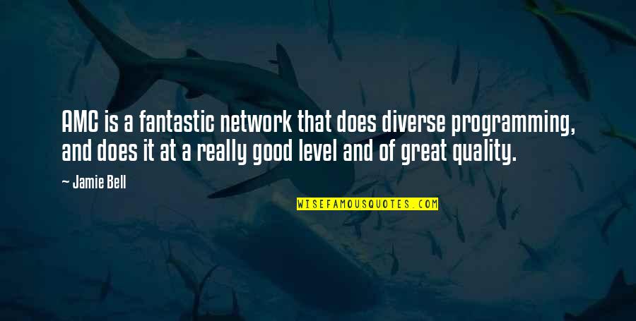 Constitutionalism And Democracy Quotes By Jamie Bell: AMC is a fantastic network that does diverse