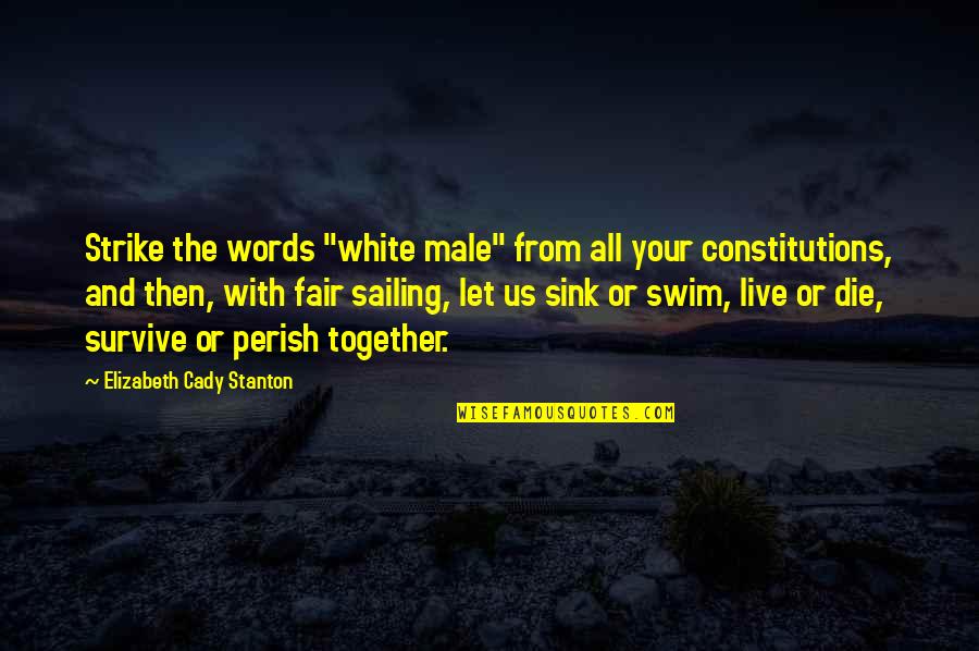 Constitutions Quotes By Elizabeth Cady Stanton: Strike the words "white male" from all your