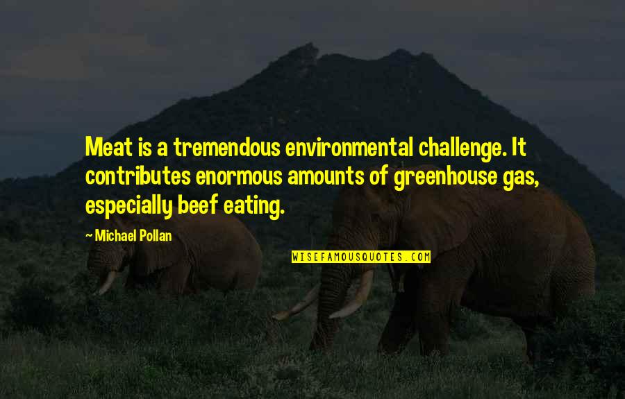 Constrictive Quotes By Michael Pollan: Meat is a tremendous environmental challenge. It contributes