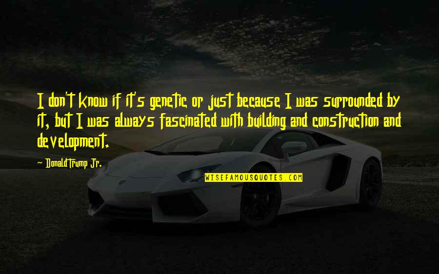 Construction And Building Quotes By Donald Trump Jr.: I don't know if it's genetic or just Construction And Building Quotes By Donald Trump Jr.: I don't know if it's genetic or just