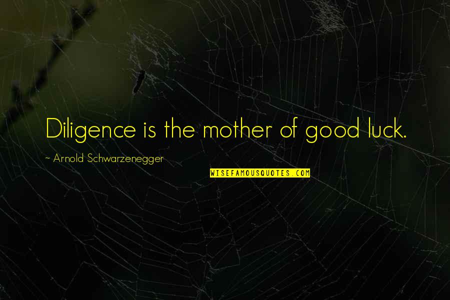 Consume With Care Quotes By Arnold Schwarzenegger: Diligence is the mother of good luck.