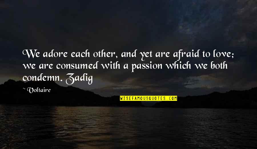 Consumed By Love Quotes By Voltaire: We adore each other, and yet are afraid