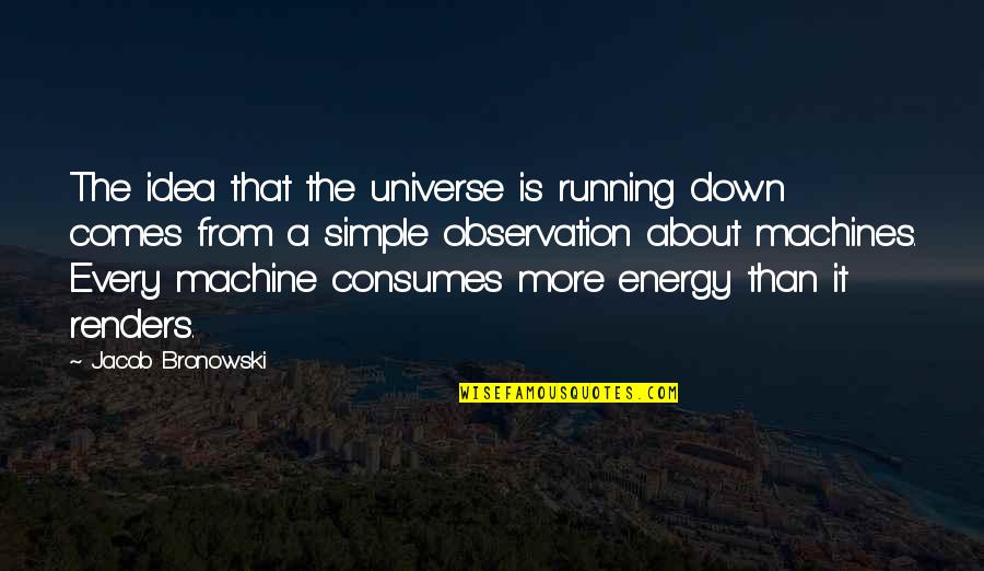 Consumes You Quotes By Jacob Bronowski: The idea that the universe is running down