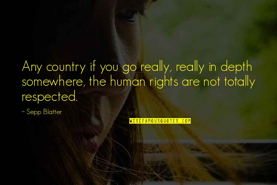 Consumo Sustentavel Quotes By Sepp Blatter: Any country if you go really, really in