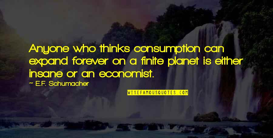 Consumption Quotes By E.F. Schumacher: Anyone who thinks consumption can expand forever on