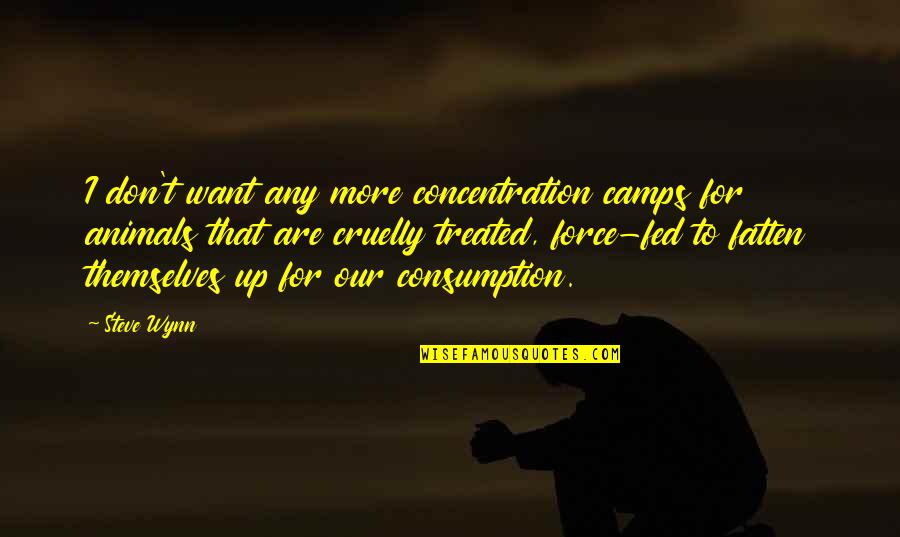 Consumption Quotes By Steve Wynn: I don't want any more concentration camps for