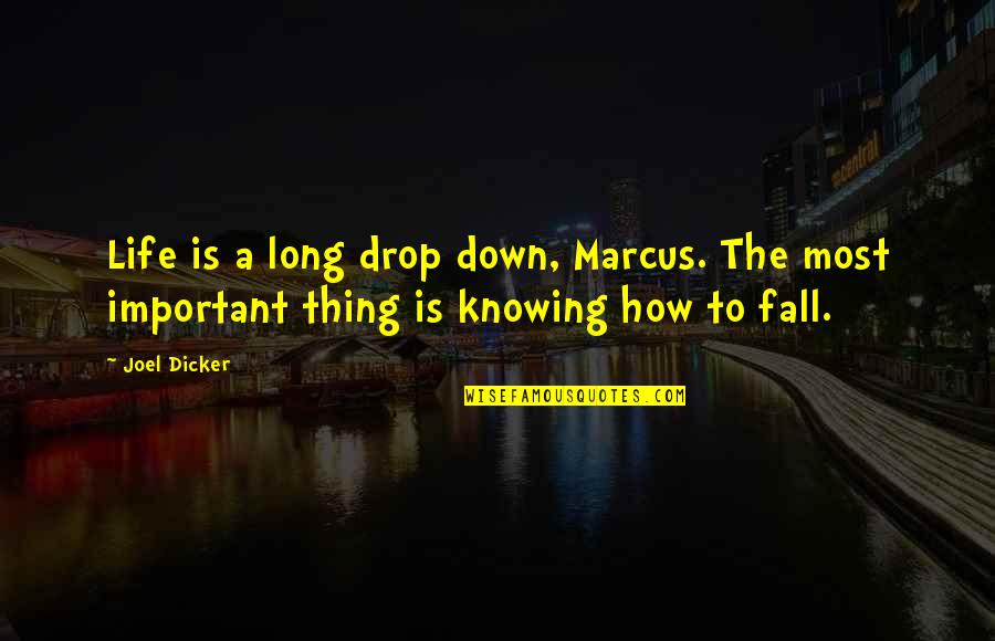 Contagiousness Of Shingles Quotes By Joel Dicker: Life is a long drop down, Marcus. The