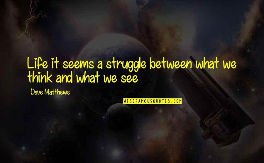 Contaminaci N Auditiva Quotes By Dave Matthews: Life it seems a struggle between what we