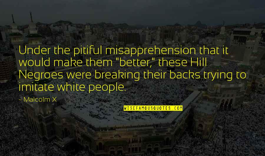 Contaminants In Water Quotes By Malcolm X: Under the pitiful misapprehension that it would make Contaminants In Water Quotes By Malcolm X: Under the pitiful misapprehension that it would make