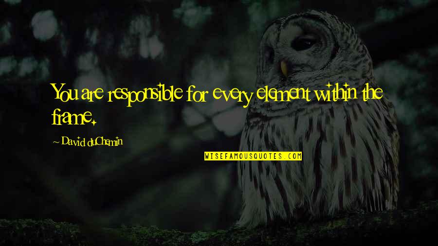 Contardo Stallion Quotes By David DuChemin: You are responsible for every element within the Contardo Stallion Quotes By David DuChemin: You are responsible for every element within the