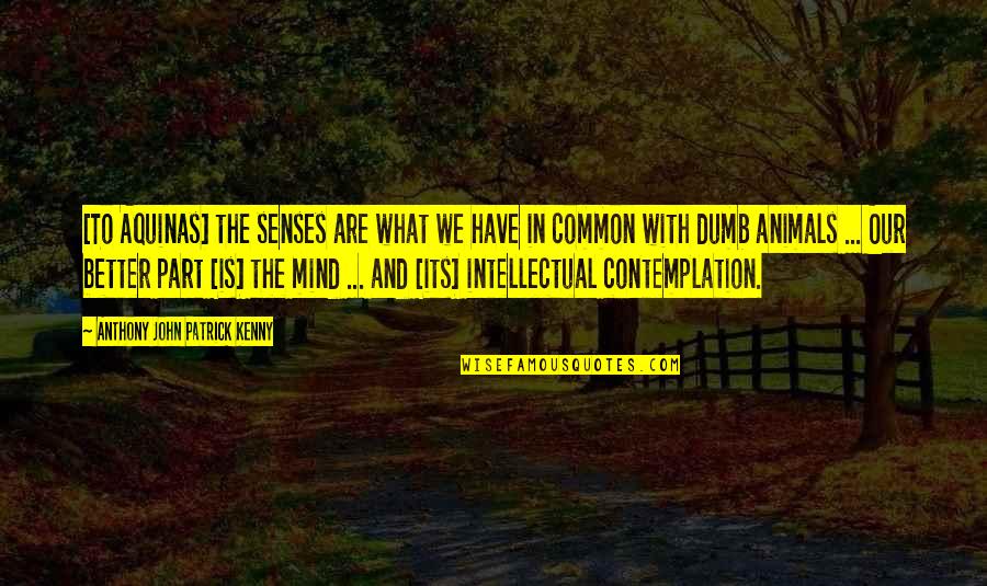 Contemplation Best Quotes By Anthony John Patrick Kenny: [To Aquinas] the senses are what we have