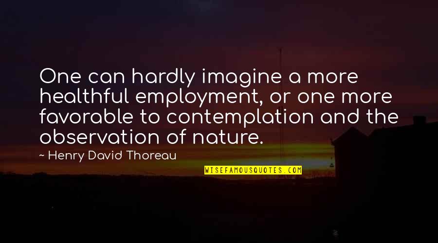 Contemplation Quotes By Henry David Thoreau: One can hardly imagine a more healthful employment,