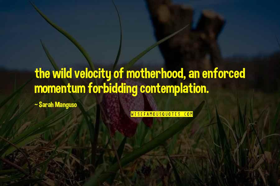 Contemplation Quotes By Sarah Manguso: the wild velocity of motherhood, an enforced momentum