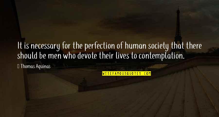 Contemplation Quotes By Thomas Aquinas: It is necessary for the perfection of human