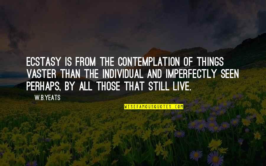 Contemplation Quotes By W.B.Yeats: Ecstasy is from the contemplation of things vaster