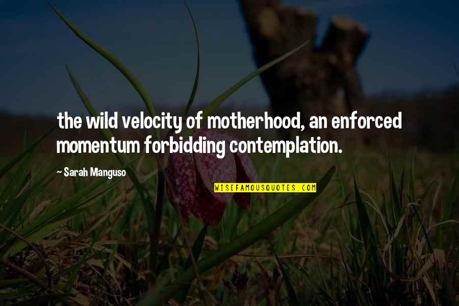 Contemplation's Quotes By Sarah Manguso: the wild velocity of motherhood, an enforced momentum