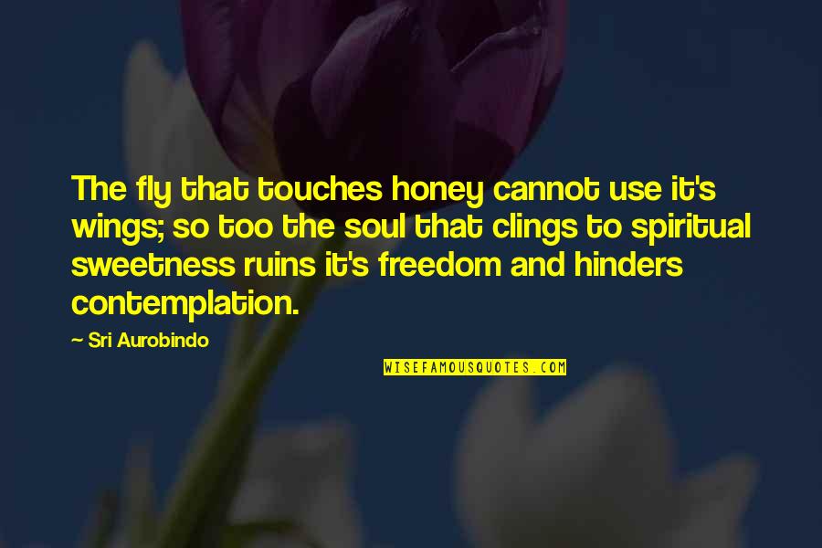 Contemplation's Quotes By Sri Aurobindo: The fly that touches honey cannot use it's