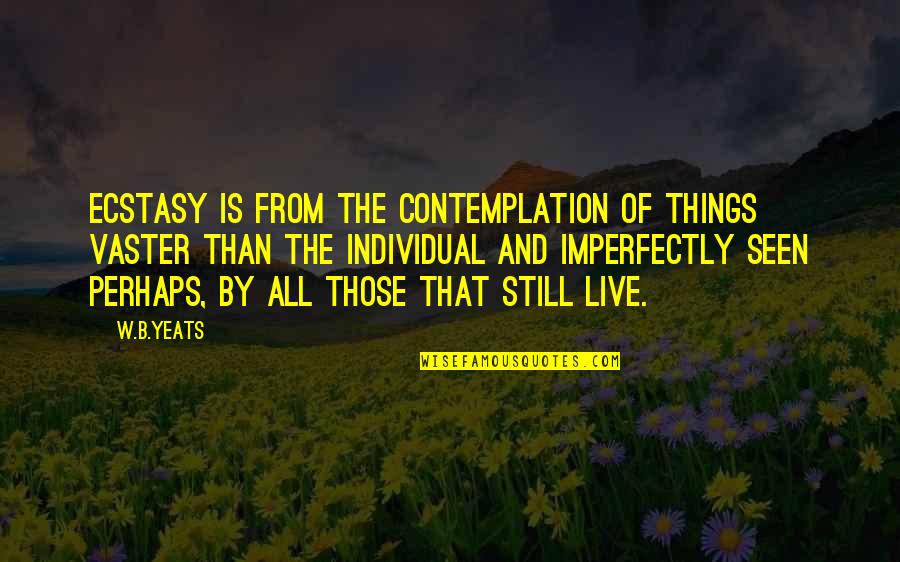 Contemplation's Quotes By W.B.Yeats: Ecstasy is from the contemplation of things vaster