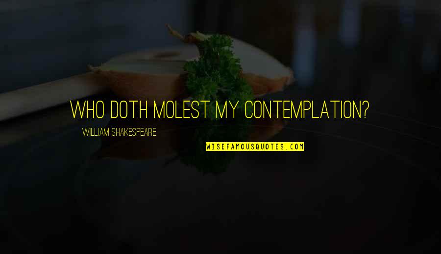 Contemplation's Quotes By William Shakespeare: Who doth molest my contemplation?