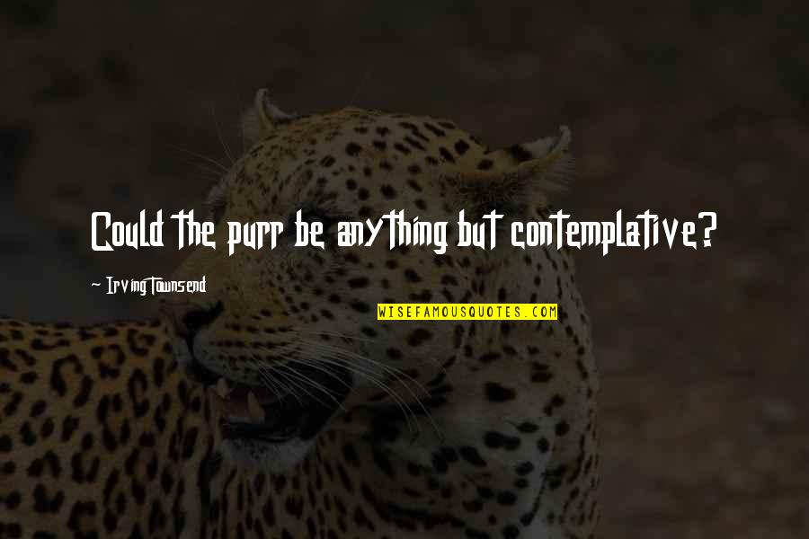Contemplative Quotes By Irving Townsend: Could the purr be anything but contemplative?