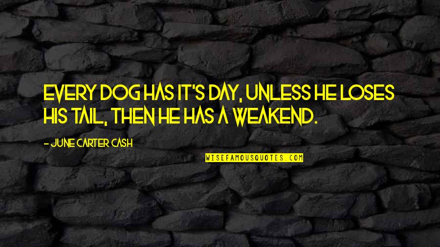 Contemporary Book Quotes By June Carter Cash: Every dog has it's day, unless he loses