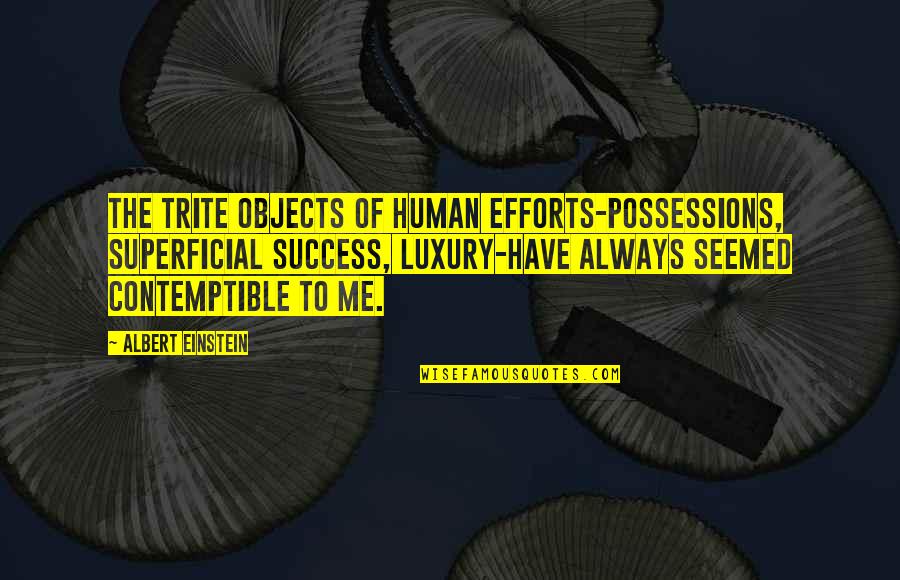 Contemptible Quotes By Albert Einstein: The trite objects of human efforts-possessions, superficial success,