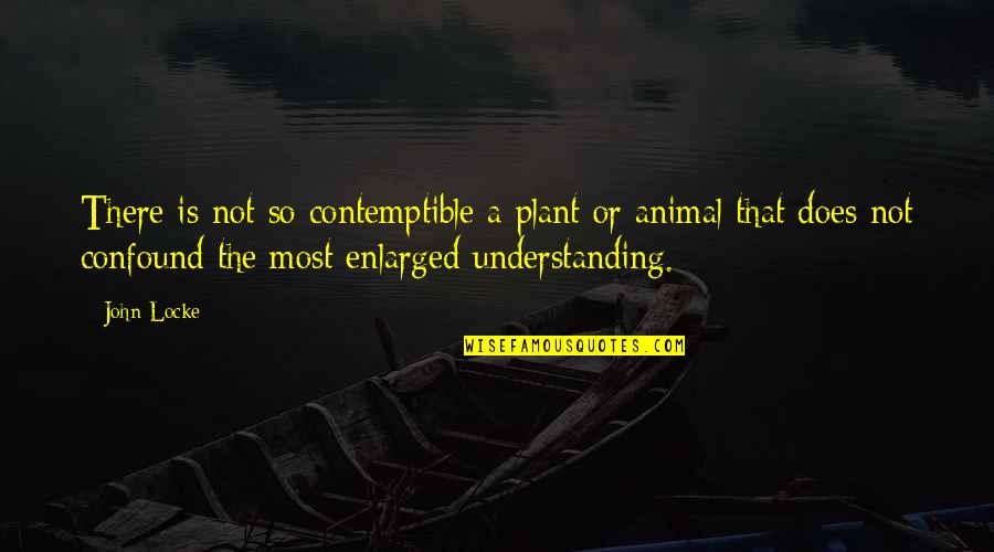 Contemptible Quotes By John Locke: There is not so contemptible a plant or