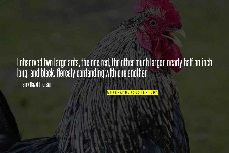 Contending Quotes By Henry David Thoreau: I observed two large ants, the one red,