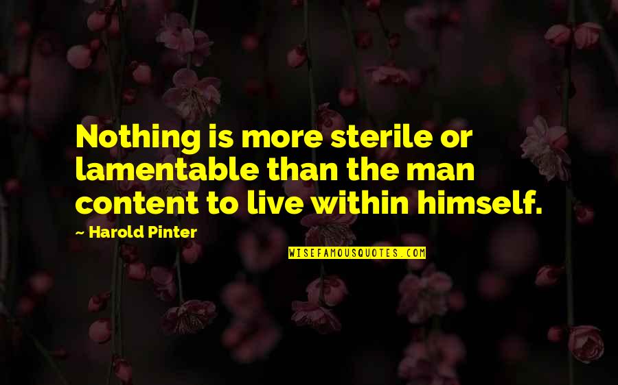 Content Quotes By Harold Pinter: Nothing is more sterile or lamentable than the