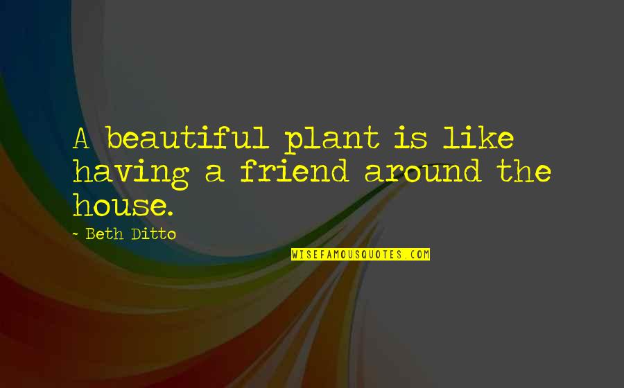 Contented And Happy Quotes By Beth Ditto: A beautiful plant is like having a friend