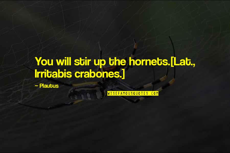 Contention Quotes By Plautus: You will stir up the hornets.[Lat., Irritabis crabones.]