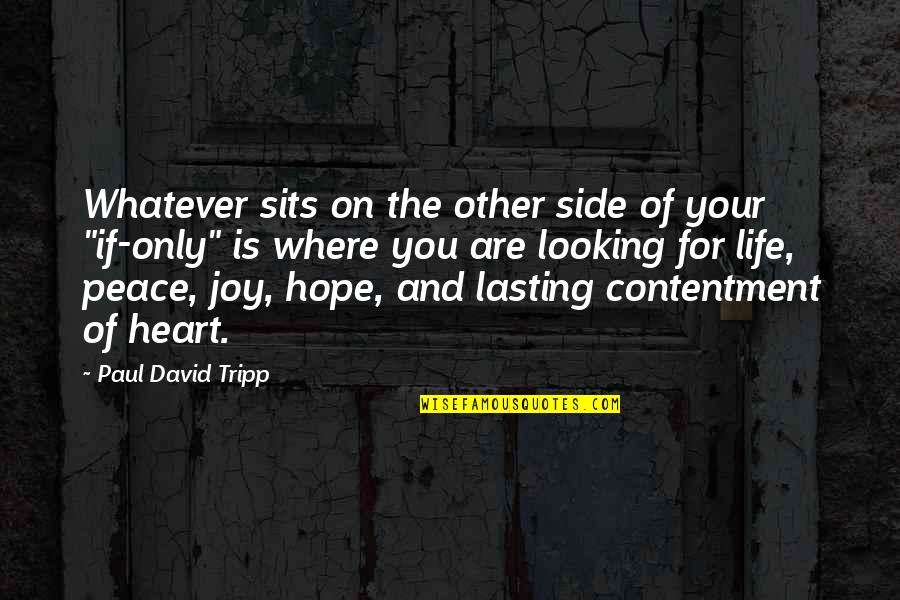 Contentment And Peace Quotes By Paul David Tripp: Whatever sits on the other side of your