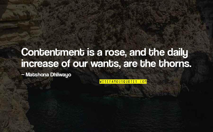 Contentment And Quotes By Matshona Dhliwayo: Contentment is a rose, and the daily increase