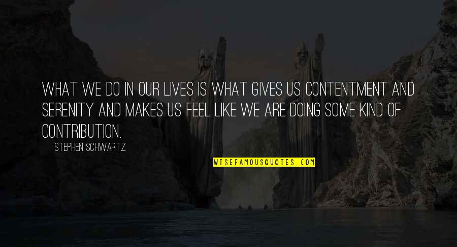 Contentment And Quotes By Stephen Schwartz: What we do in our lives is what
