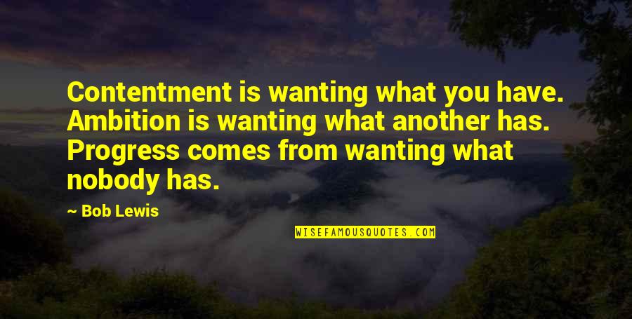 Contentment For What You Have Quotes By Bob Lewis: Contentment is wanting what you have. Ambition is