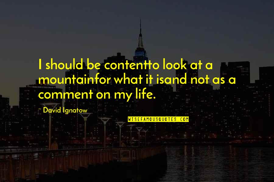 Contentment In Life Quotes By David Ignatow: I should be contentto look at a mountainfor