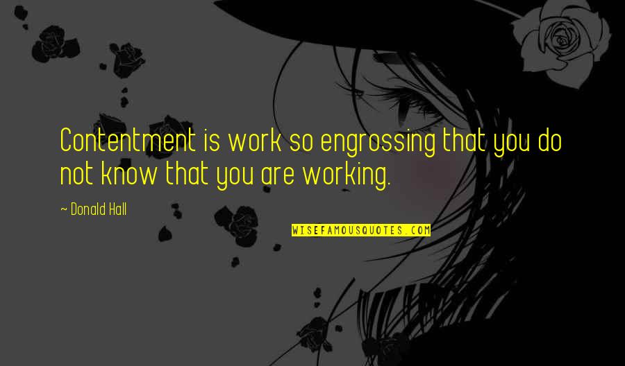 Contentment In Work Quotes By Donald Hall: Contentment is work so engrossing that you do