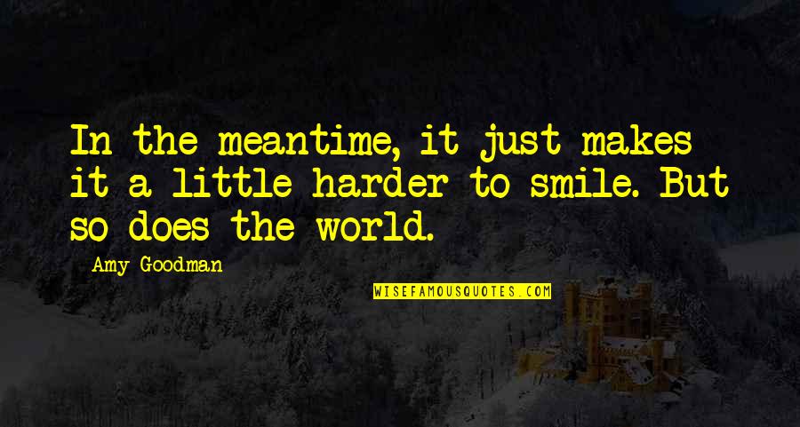 Contenu Synonyme Quotes By Amy Goodman: In the meantime, it just makes it a