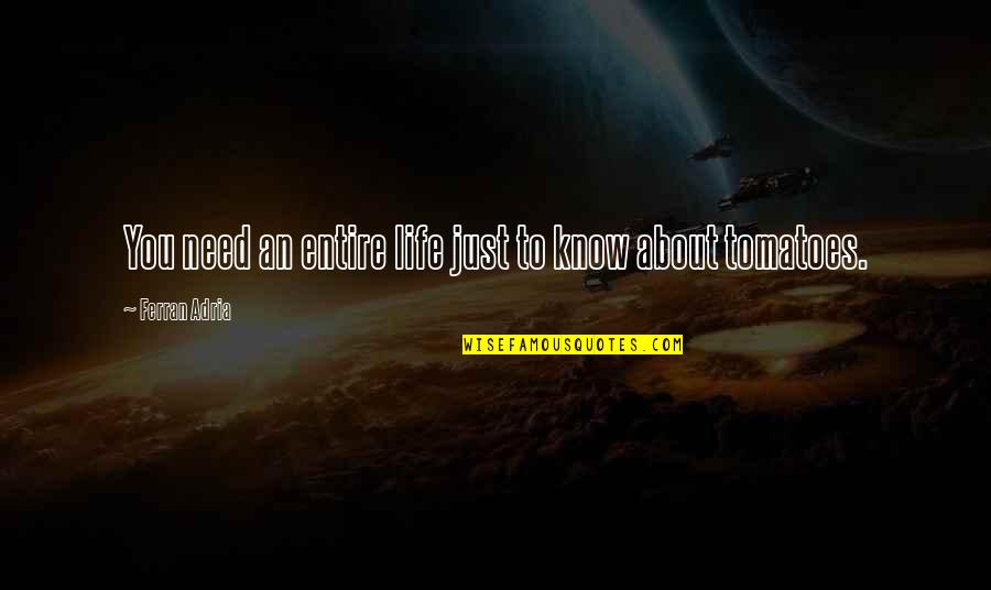 Conterno Giacomo Quotes By Ferran Adria: You need an entire life just to know Conterno Giacomo Quotes By Ferran Adria: You need an entire life just to know