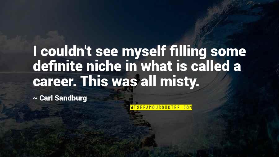 Contestants On The Masked Quotes By Carl Sandburg: I couldn't see myself filling some definite niche