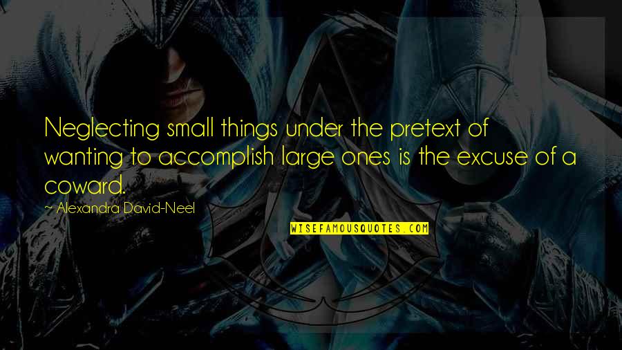 Contextualized Quotes By Alexandra David-Neel: Neglecting small things under the pretext of wanting