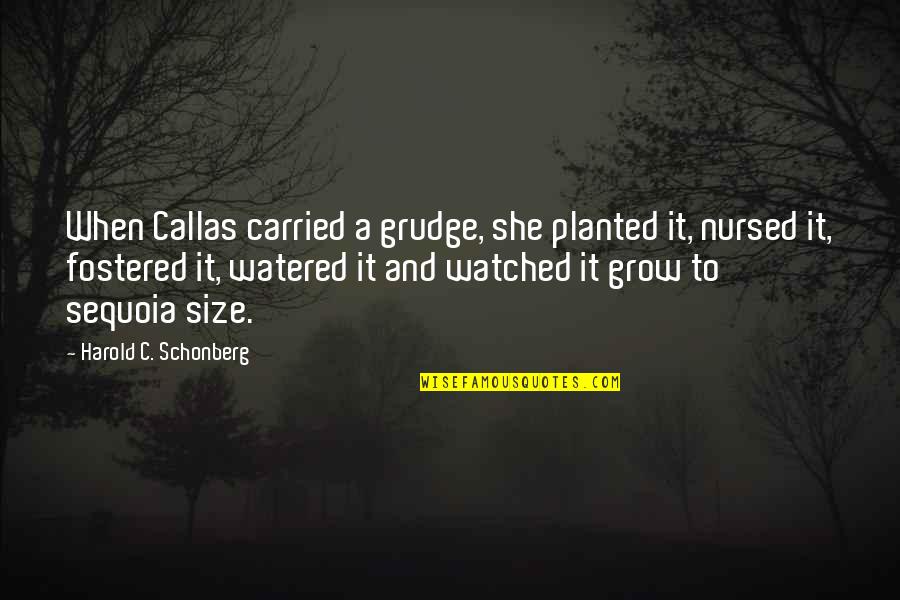 Contiguate Quotes By Harold C. Schonberg: When Callas carried a grudge, she planted it, Contiguate Quotes By Harold C. Schonberg: When Callas carried a grudge, she planted it,