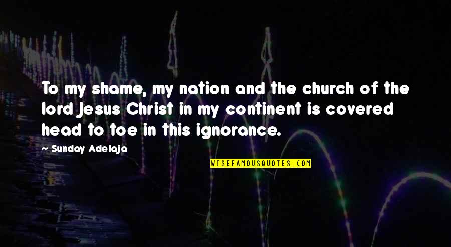Continent Quotes By Sunday Adelaja: To my shame, my nation and the church