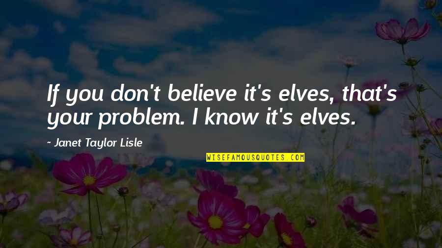 Continente Americano Quotes By Janet Taylor Lisle: If you don't believe it's elves, that's your
