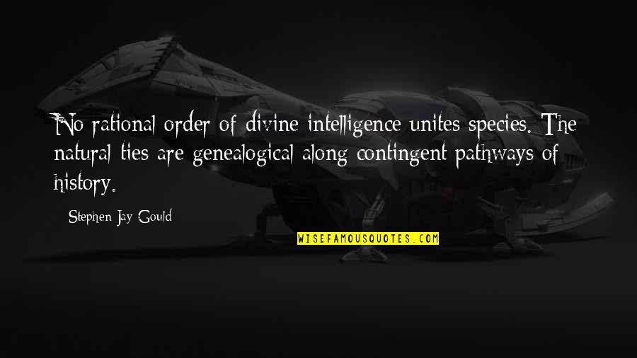 Contingent Quotes By Stephen Jay Gould: No rational order of divine intelligence unites species.