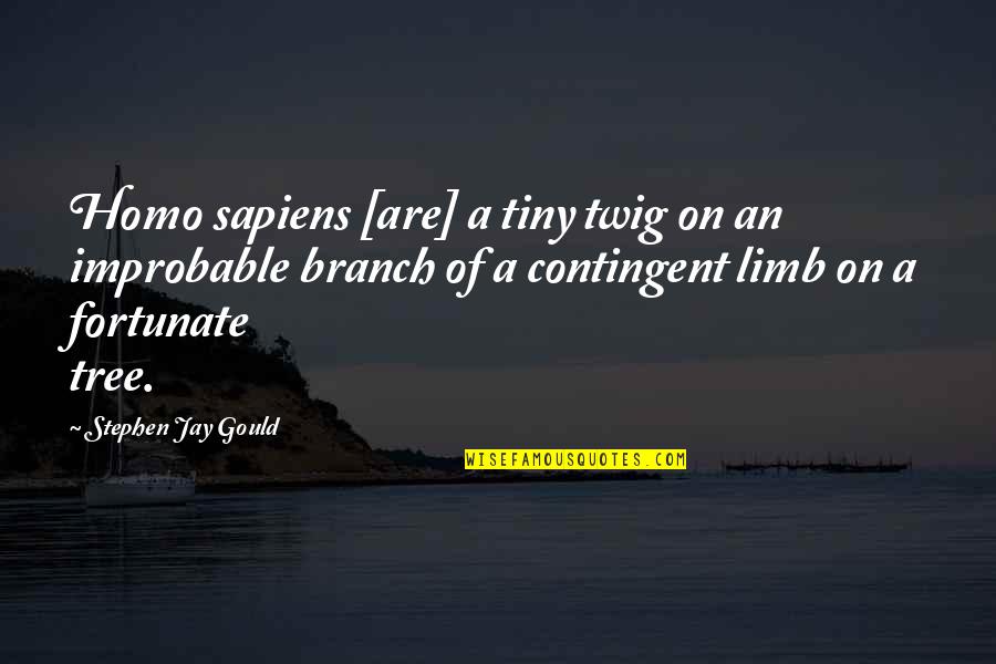Contingent Quotes By Stephen Jay Gould: Homo sapiens [are] a tiny twig on an