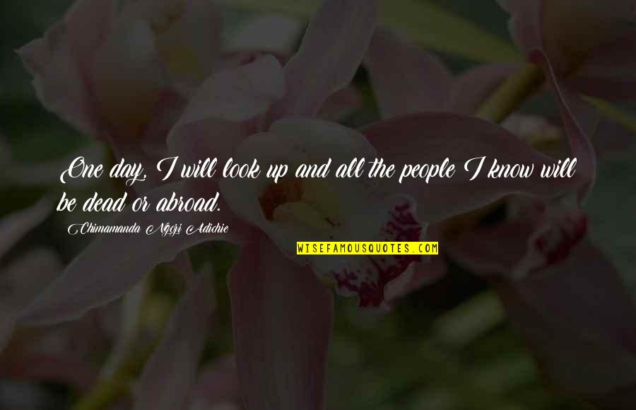 Continha De Mais Quotes By Chimamanda Ngozi Adichie: One day, I will look up and all Continha De Mais Quotes By Chimamanda Ngozi Adichie: One day, I will look up and all
