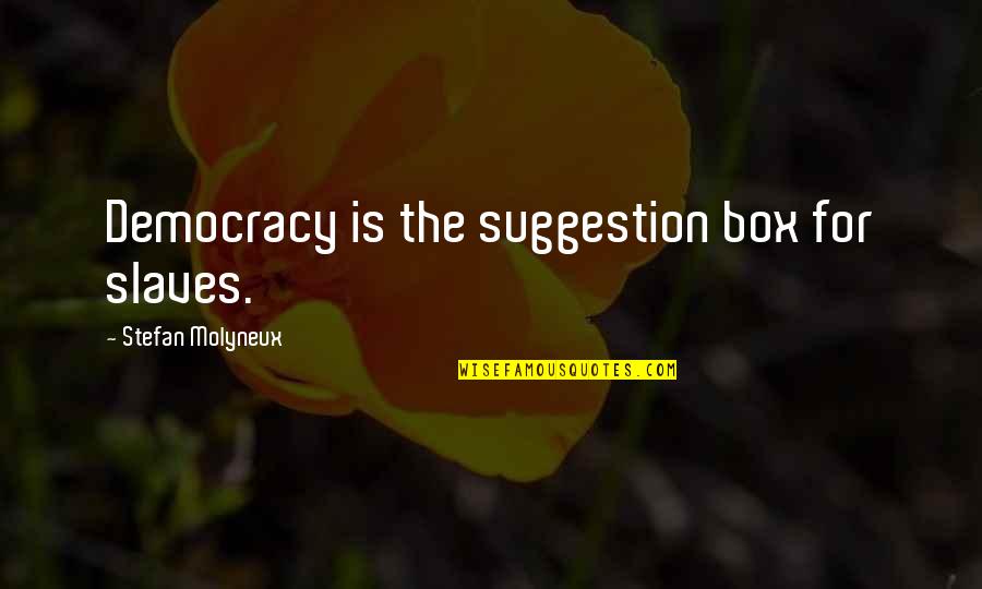 Continuance Of Government Quotes By Stefan Molyneux: Democracy is the suggestion box for slaves.