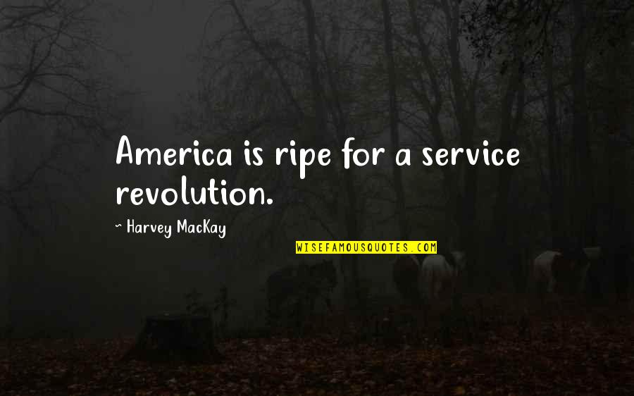 Continue Smiling Quotes By Harvey MacKay: America is ripe for a service revolution.