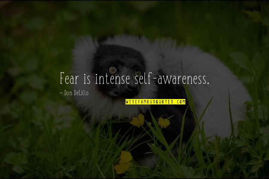 Continue To Strive For Excellence Quotes By Don DeLillo: Fear is intense self-awareness.